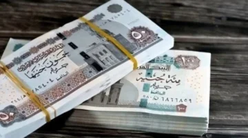 موعد الصرف.. تعرف على جدول صرف مرتبات نوفمبر 2025 للعاملين بالدولة وتفاصيل الاستحقاق الجديدة